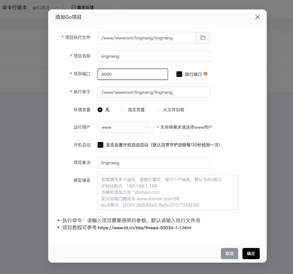 宝塔添加 Go 项目对话框示例